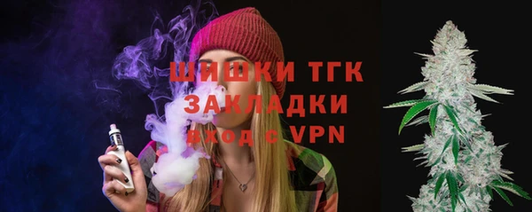 сатива Алзамай