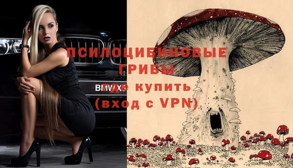 Альфа ПВП Алексин