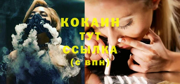 сатива Алзамай
