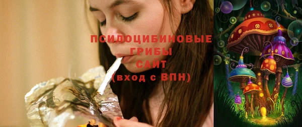 сатива Абаза