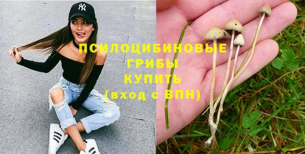 спайс Абинск