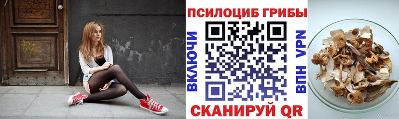 Галлюциногенные грибы Psilocybine cubensis  Волоколамск 